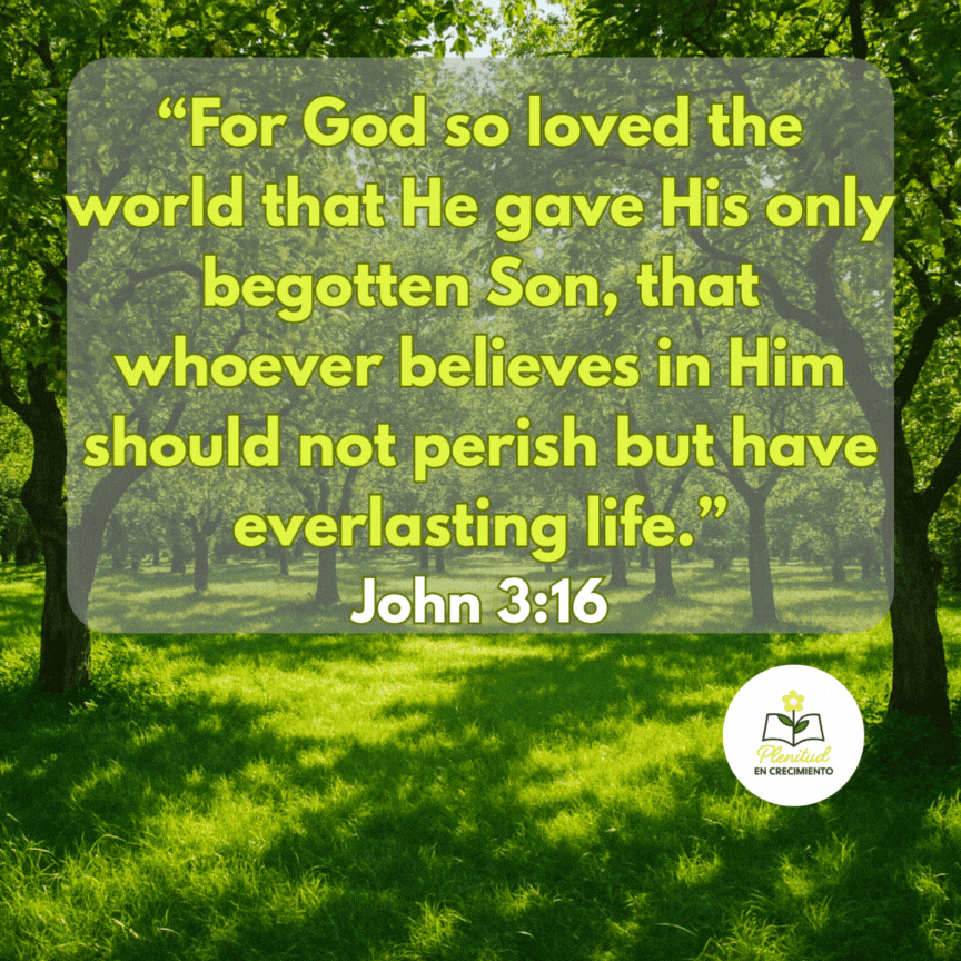 TE002 - EN portada.gif